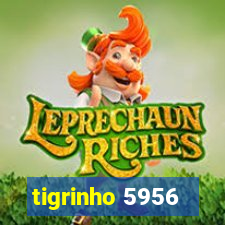 tigrinho 5956